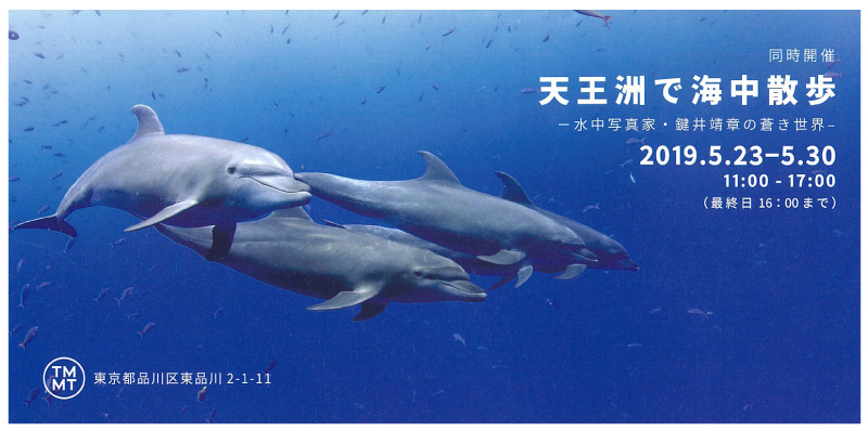 20190527094230.jpg