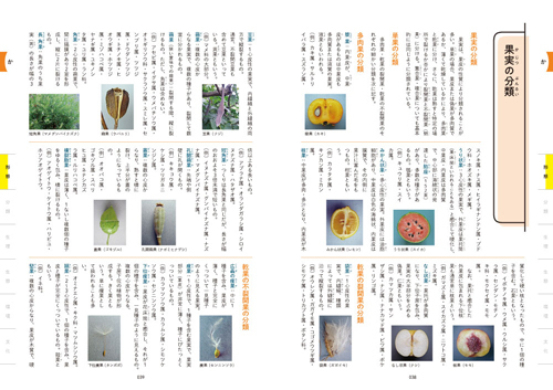 6532-0_038-039L.jpg