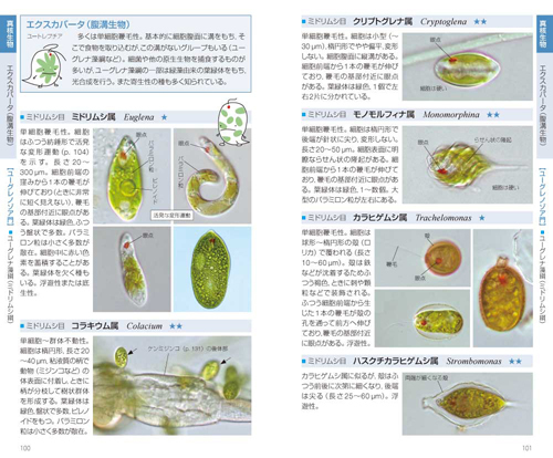 プランクトンハンドブック 淡水編: 文一総合出版の書籍案内