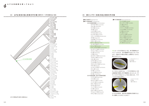 新しい植物分類体系—APGで見る日本の植物: 文一総合出版の書籍案内