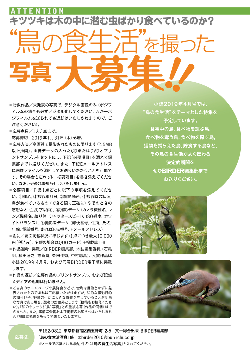 BIRDER_0131.jpg