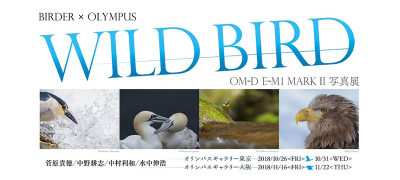 オリンパス写真展.jpg