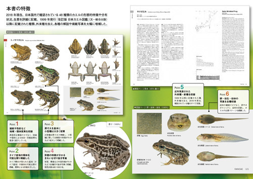 日本産カエル大鑑: 文一総合出版の書籍案内