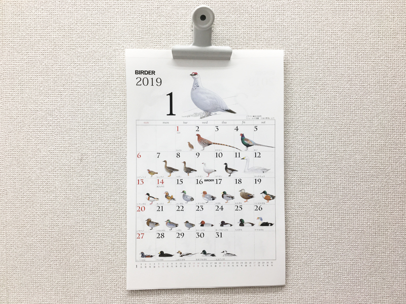 写真-2018-12-17-14-34-04.jpg