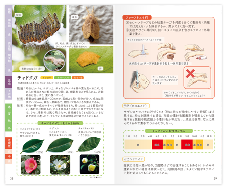 危険生物ファーストエイドハンドブック 陸編: 文一総合出版の書籍案内