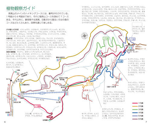 高尾山1.jpg