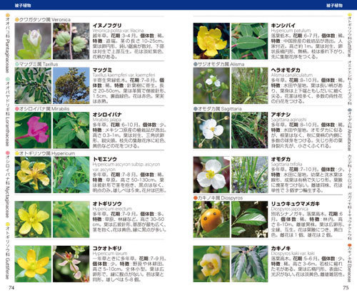 高尾山2.jpg
