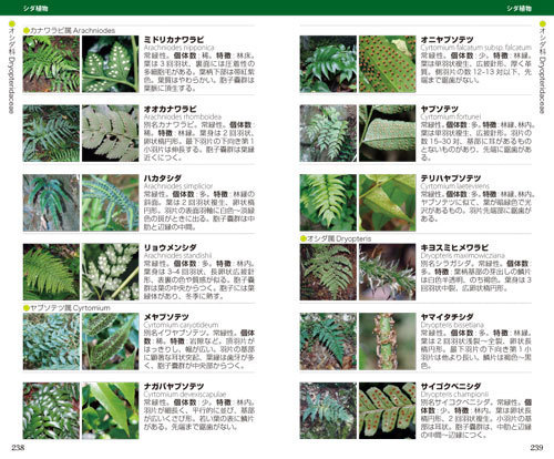 高尾山3.jpg