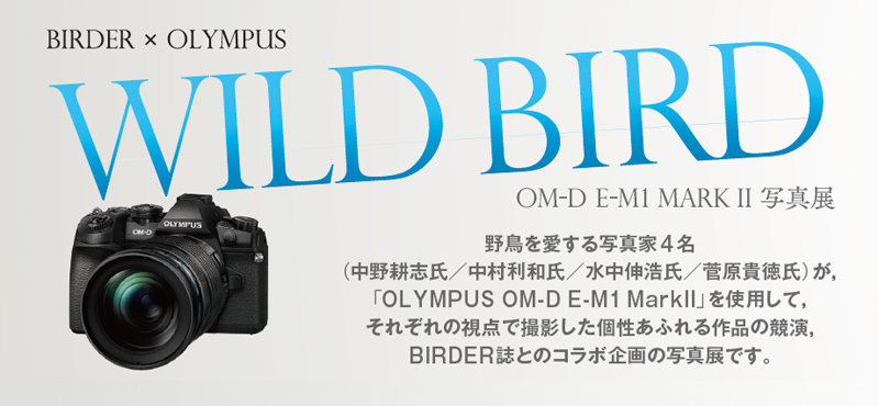 OLMPS.jpg