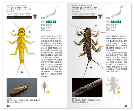 新訂 水生生物ハンドブック: 文一総合出版の書籍案内