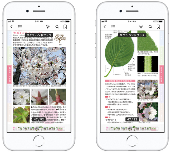 0187-8_iPhone_base.jpg