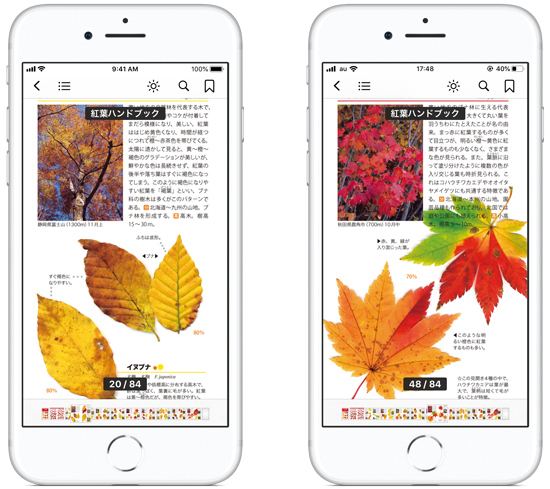 0187-8_iPhone_base.jpg