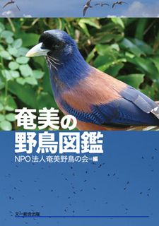 ネイチャーガイド 日本のクモ 増補改訂版: 文一総合出版の書籍案内