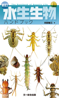 植物色素フラボノイド | 武田 幸作, 齋藤 規夫, 岩科 司 |本
