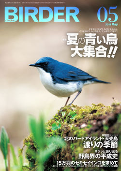 2019-05LS.jpg
