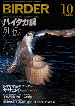 2019-10LS.jpg