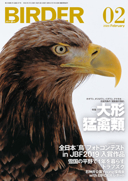 2020-02LS.jpg