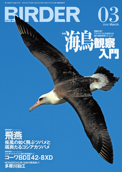 2020-03LS.jpg