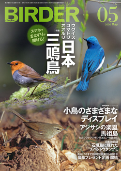 Birder バーダー 年5月号 日本三鳴鳥 文一総合出版の書籍案内