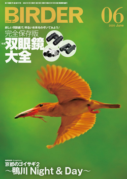 2020-06LS.jpg