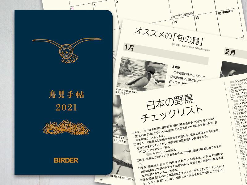 2021-01_diary1.jpg