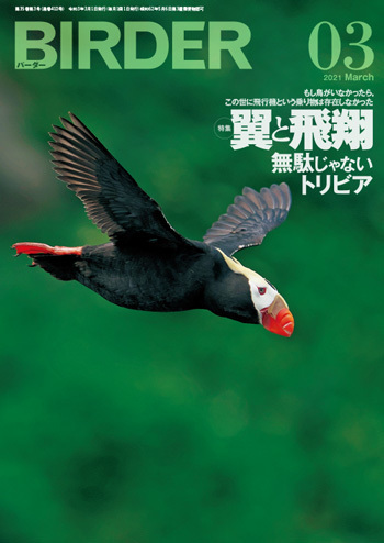 2021-03LS.jpg