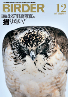 雑誌: (6) 文一総合出版の書籍案内