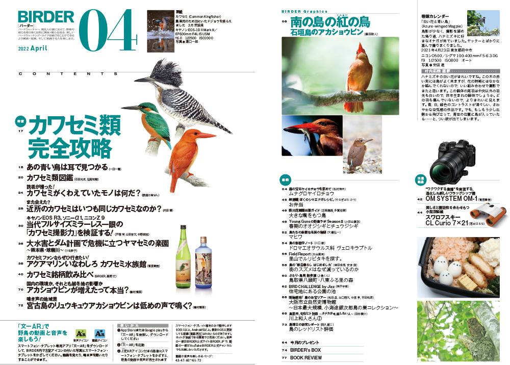 BIRDER（バーダー）2022年4月号「カワセミ類 完全攻略」: 文一総合出版