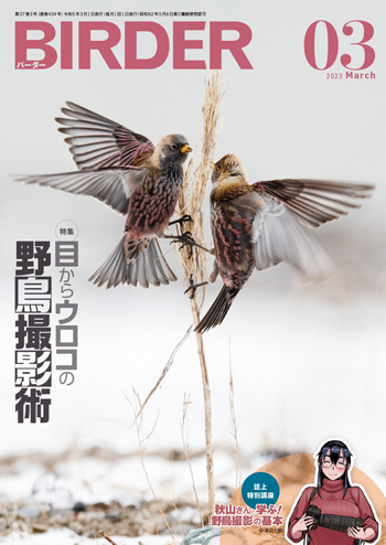 2月16日発売｜BIRDER（バーダー）2023年3月号「目からウロコの野鳥撮影