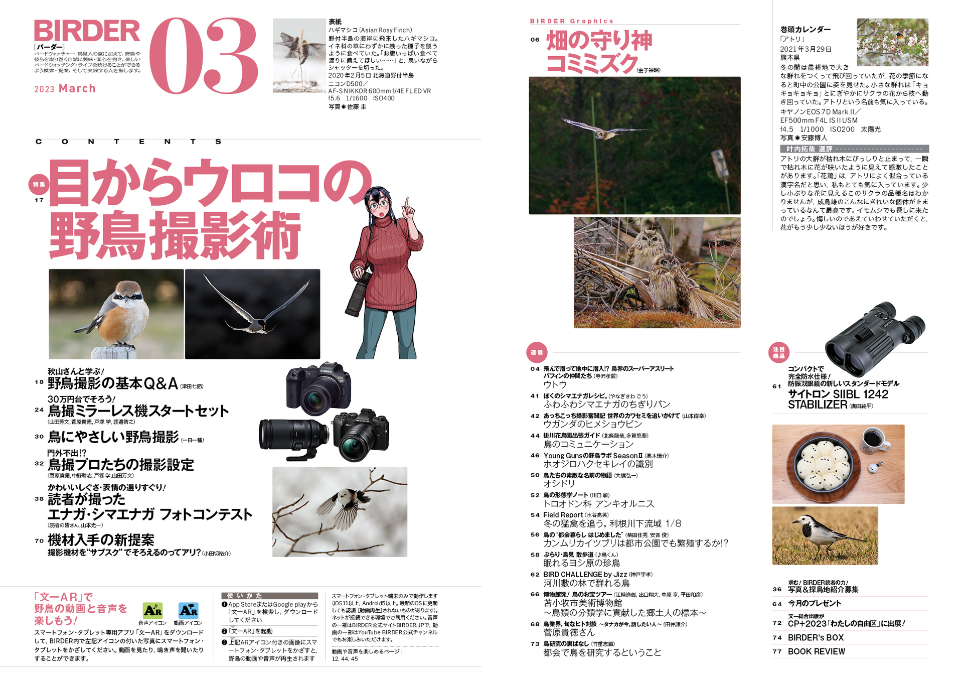 2月16日発売｜BIRDER（バーダー）2023年3月号「目からウロコの野鳥撮影