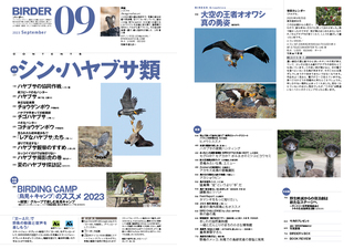 2023-09_02-03R.jpg