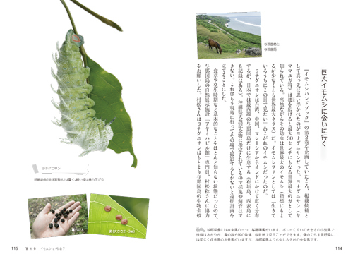 7108-6_114-115L.jpg