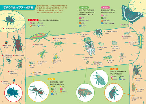 手すりの虫観察ガイド 文一総合出版の書籍案内