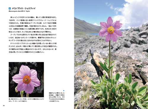 7230-4_044-045L.jpg