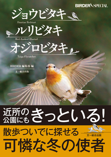 タカの渡りを楽しむ本: 文一総合出版の書籍案内