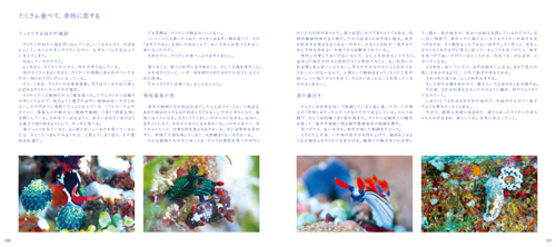 7915-0_100-101L.jpg