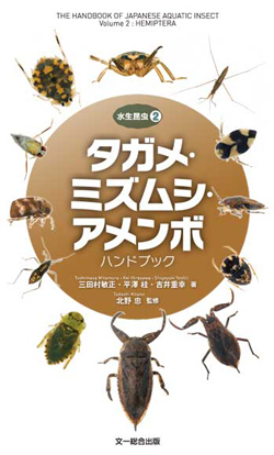 水生昆虫② タガメ・ミズムシ・アメンボ ハンドブック: 文一総合