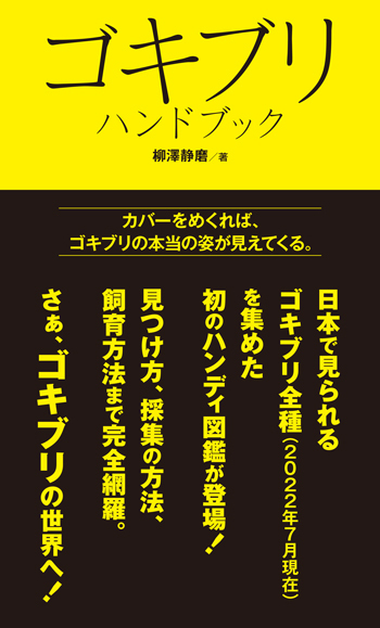 ハンドブック 文一総合出版の書籍案内