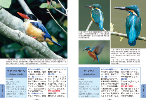 おまけ付】 鳥雑誌BIRDER2017年789月号 本・音楽・ゲーム