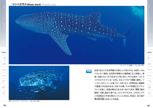 ポケット図鑑 日本の海水魚466 第2版 文一総合出版の書籍案内