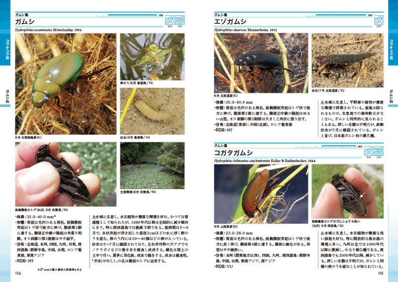 ネイチャーガイド 日本の水生昆虫: 文一総合出版の書籍案内