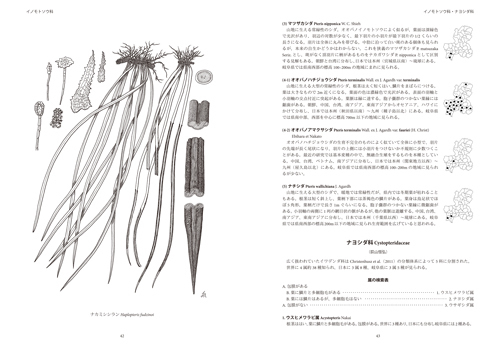 8806-0_042-043L.jpg