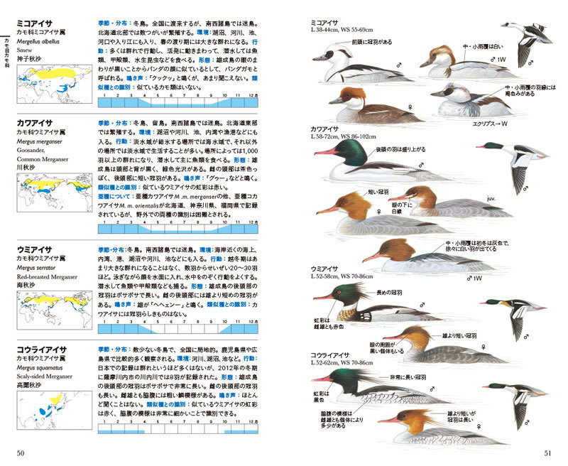 フィールド図鑑 日本の野鳥 第2版: 文一総合出版の書籍案内