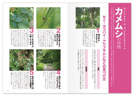 どん虫1.png