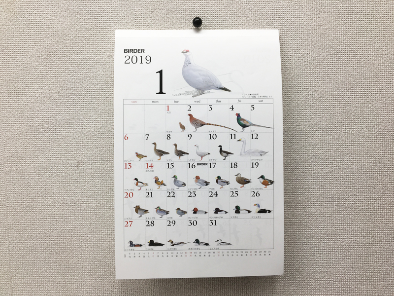 写真-2018-12-17-14-33-27.jpg