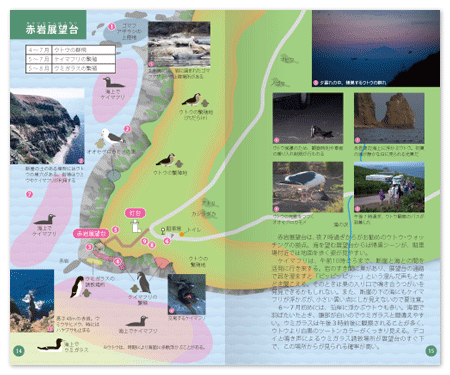 天売.png
