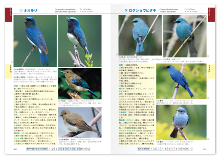 山野0.png
