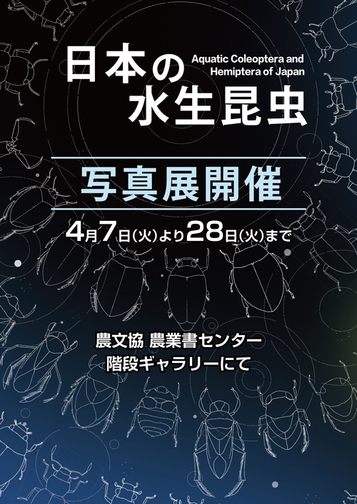 水生昆虫ポスター.jpg
