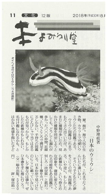 読売新聞20180826書評_本よみうり堂_ウミウシ.jpg