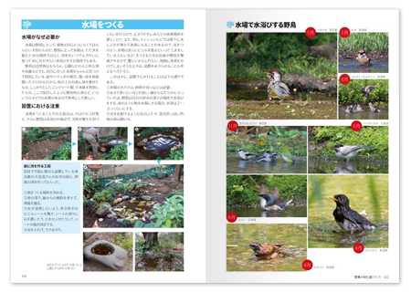 野鳥と木の実1.png